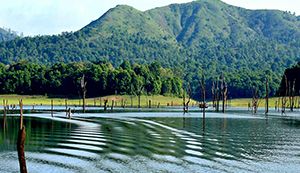 Thekkady