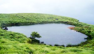Wayanad 